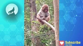 Funny Video - The Funniest Videos on Chinese TikTok 2022 Part 1