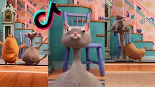 Cat Noodle The Best Moments. Funny Cat Noodles????????