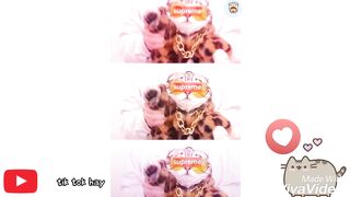 ❤️Tik Tok China❤️Cat hearing❤️| Cute cat bosses break people's hearts   ❤️ #2.