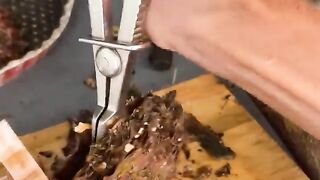 This Pearl is as good as it gets