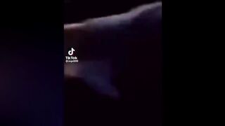coldest moments???? tiktok compilation
