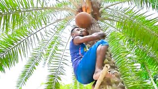 Must Watch New Funniest Comedy video 2021 amazing comedy video 2021 Episode 127 By Busy Fun