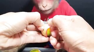 Cute Monkey Bin 2 Years Old