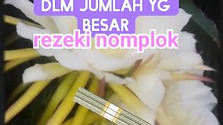 Rejeki 2