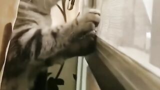 When neighbors have problems