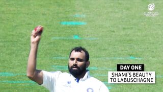 Cricket Videos - ICC