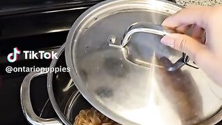 How to not burn a puppy