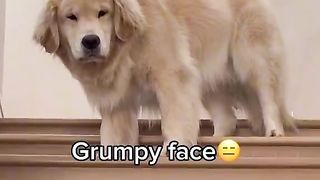 Funny 926