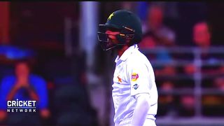 Mitchell Starc Best Yorkers