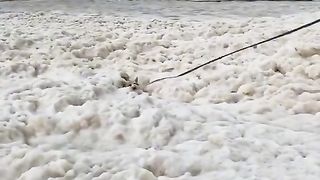 Filmed Tash the Corgi in front of a wave of sea foam, which suddenly swamped her. She kept wagging her tail