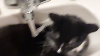 The look of betrayal at the end