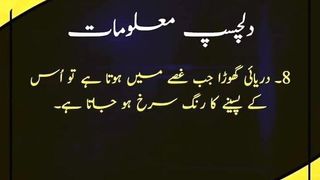 best .  urdu Qoutes