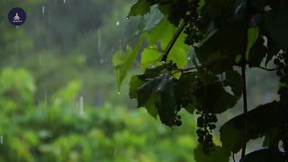 30 Minutes lightning and heavy rain reminder song deep sleep