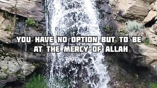 motivation 24