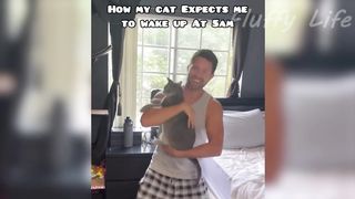 Funniest Cats Videos That Will Make You Laugh ???? Best Funny Cats Videos Of 2023 ???????? 2