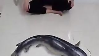 Beautiful art 5