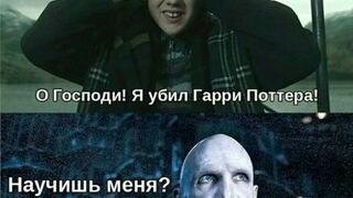 Гарри Поттера вызвали Гоблинский перевод 31 Дамболдор тролит Версус батл