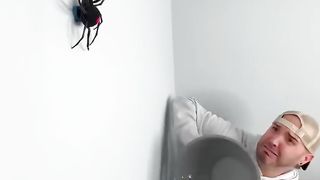 catched the  big spider