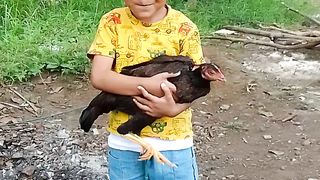 Maen sama ayam