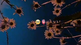WhatsApp status 10