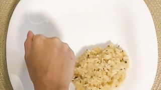 The rules of a healthy Nutrition Plate