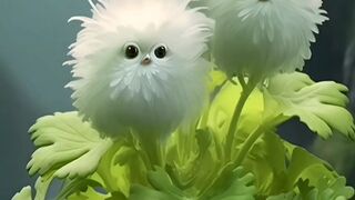 DIY cat flower 3D