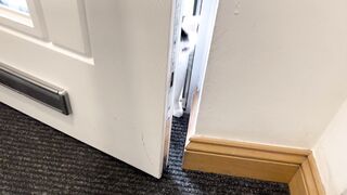 Cat comes inside
