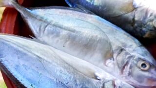MASALA FISH CURRY RECIPE | Rohu Fish Curry Kerala Style | Easy Fish Curry Recipe