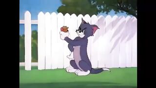 Tom and Jerry cartoon 9