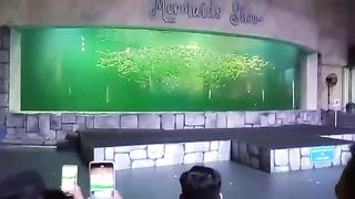Petualangan Ajaib: Mermaid Menyelamatkan Kerajaan Bawah Laut