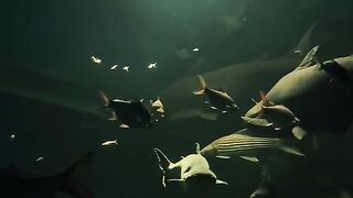 The sea 2