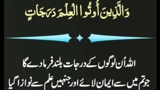 اسلامی معلومات 45