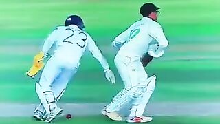 Funny cricket 3