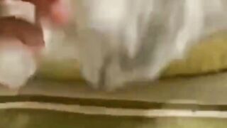 lazy cat tiny