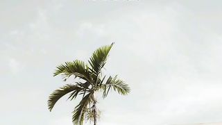 Ajmal Raza Qadri Vol: 101