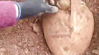 Kilos of gold under the rock