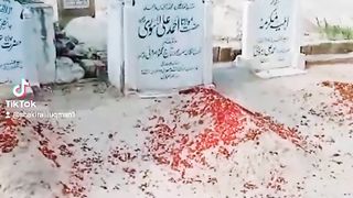 Molana Ahmed Ali Lahori