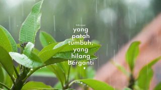 songs covers "what is broken grows what is lost" by Mitty zasia