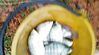 Hasil mancing 1 jam wkwkwkwk