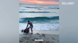 Funniest Summer Wipeouts! Beach and Summer Fails