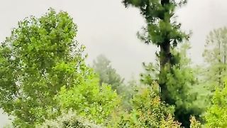 Natute 2