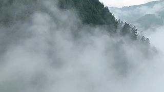 Explore the beauty of Galiyat Pakistan #febspotviralvido