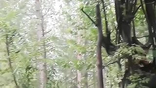 Kashmir weather 2