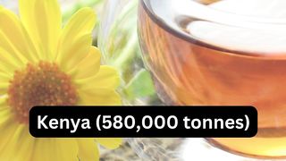 Top 5 Countries with The Highest Tea Production