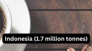 Top 5 Countries with The Highest Coffee Production