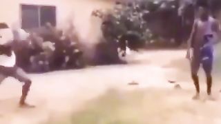 Viral vidéos