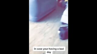 Funny cat video watch now