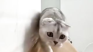 Funny videos 267
