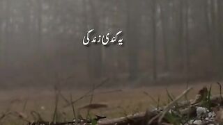 یہ بوائے فرینڈز اور گرل فرینڈز کلچر ابلے ہوئے گٹر ہے