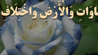 خوبصورت تلاوت قرآن beautiful voice of quran